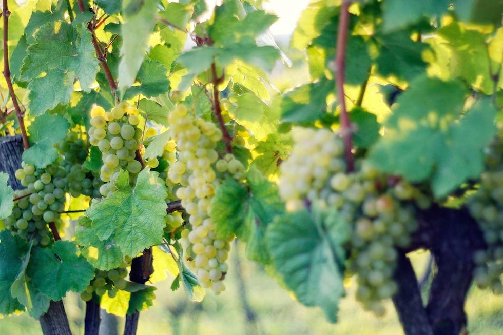 Az van, hogy mégsem nézem meg a román–magyar futballmeccset