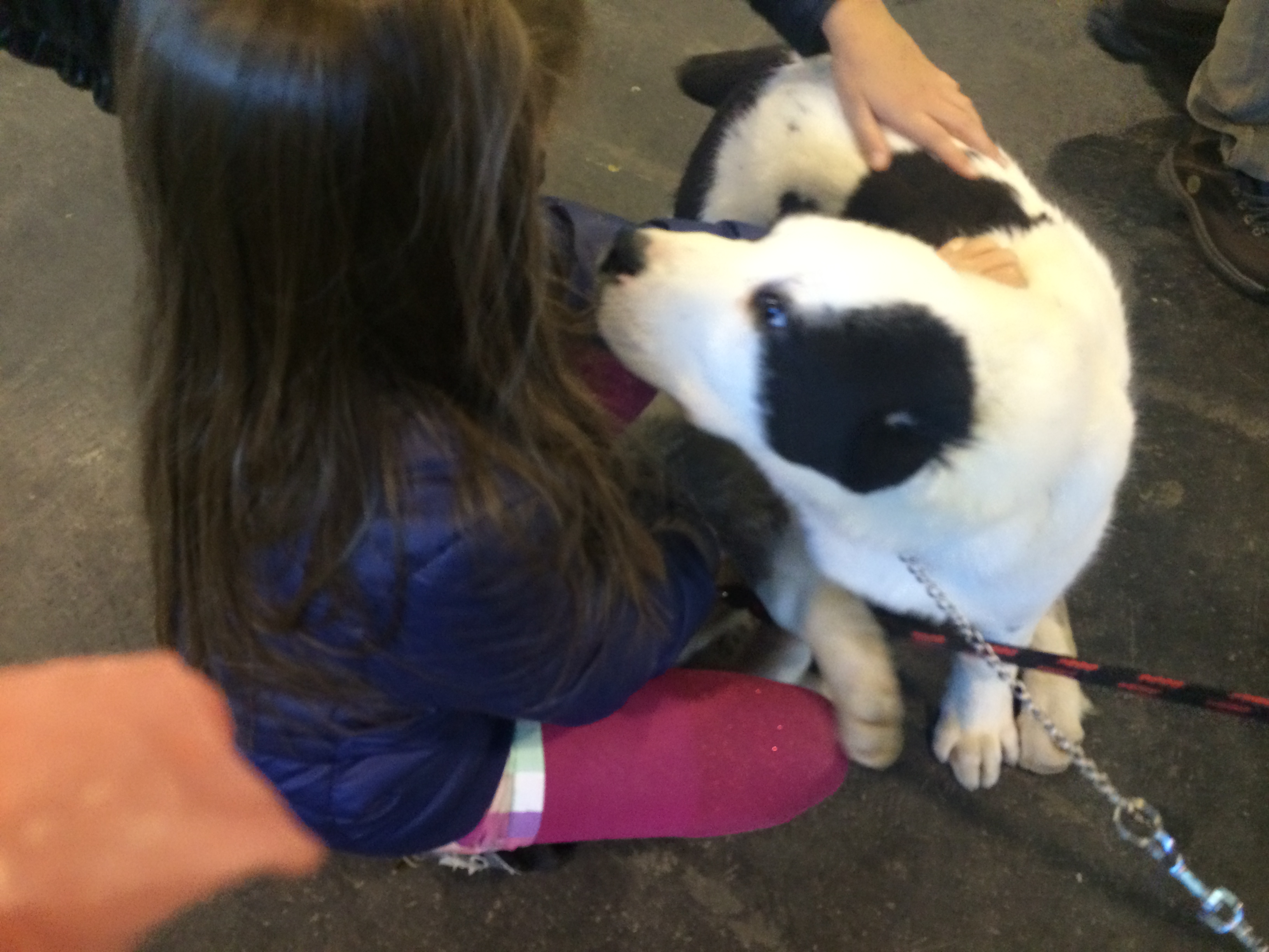 Illustration for article titled Így buliznak döglött állatokkal az ország legidiótábban öltözött emberei