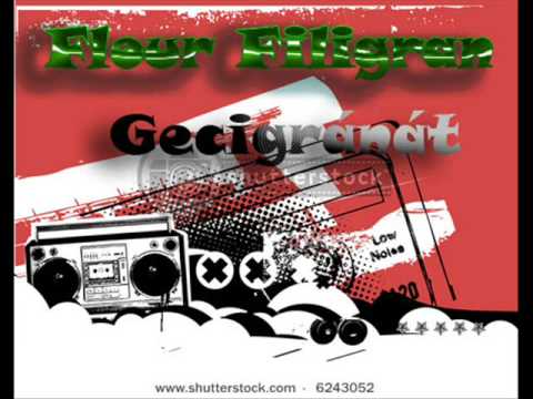 Hihetetlenül trágár, de pontos leírás az új parkolási rendszerről (18+)