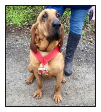 A blöki, aki véletlenül hetedik lett a fél-maratonon