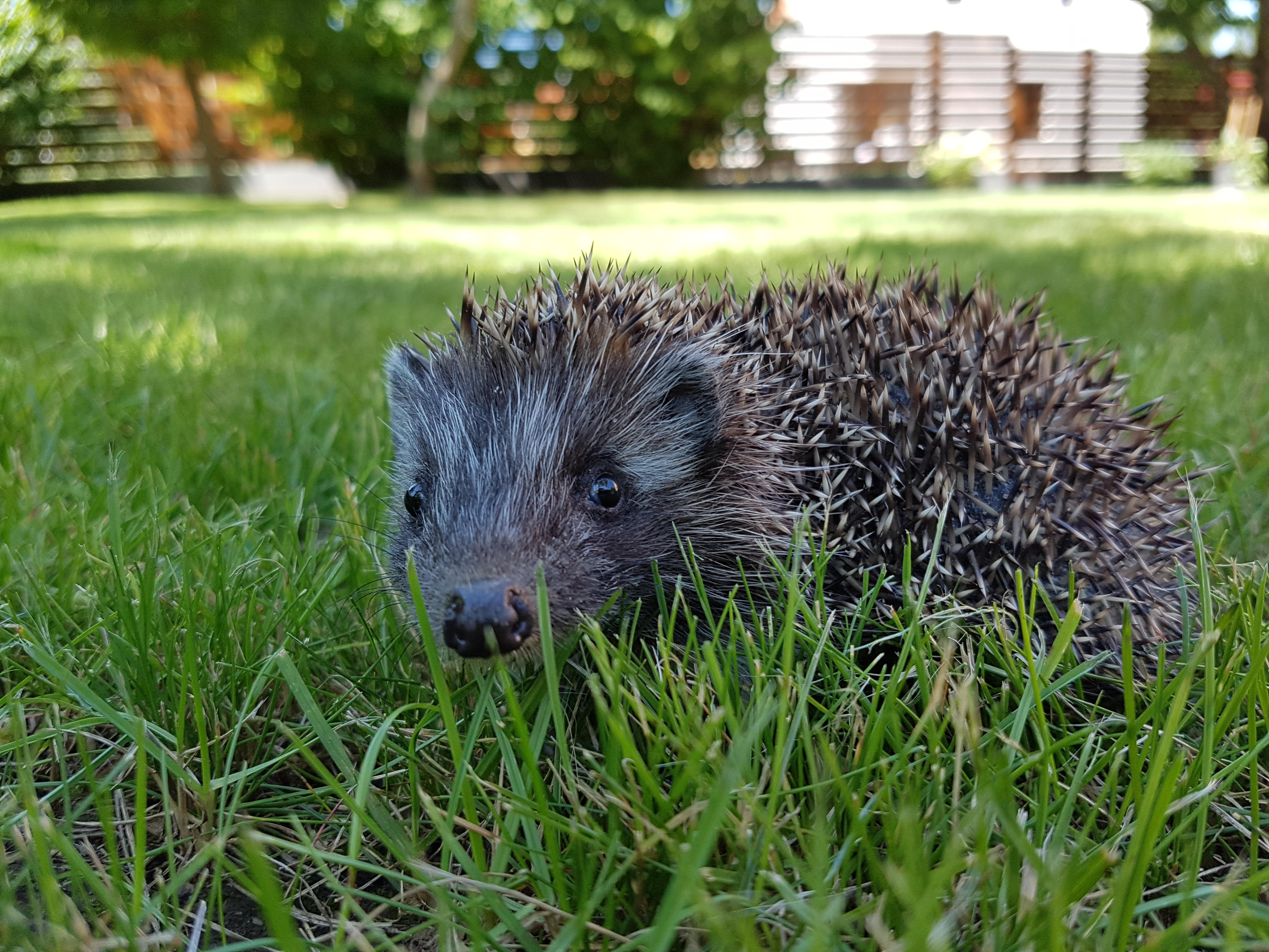 Gábor szabadságra ment.