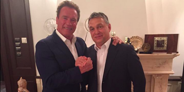 Mit szarik a Terminátor, ha megette Orbánt?