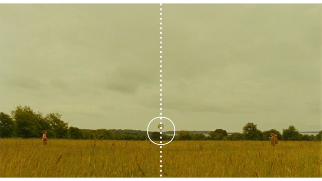 Wes Anderson, a megszállott középutas