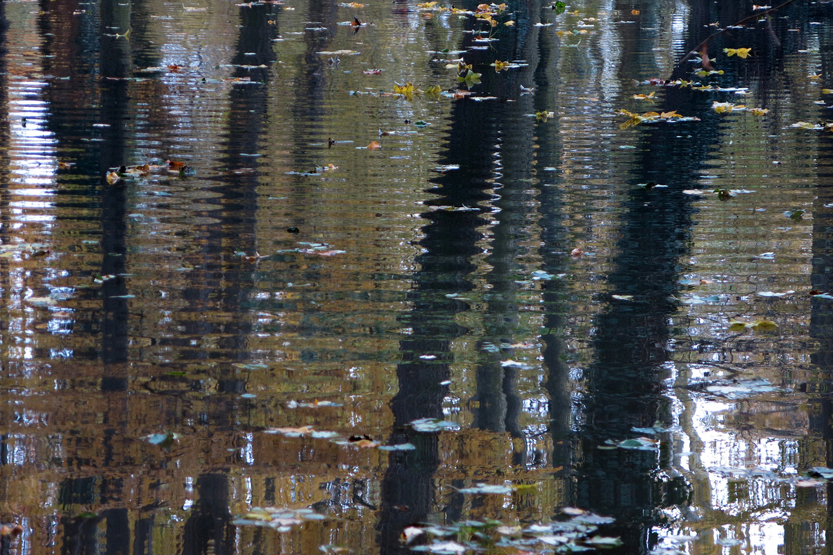 Illustration for article titled A legszebb dolog, amit József nádornak köszönhetünk