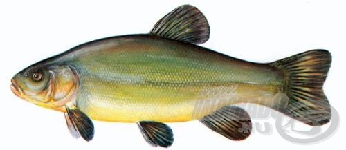 Illustration for article titled Politikonc - 2016#1