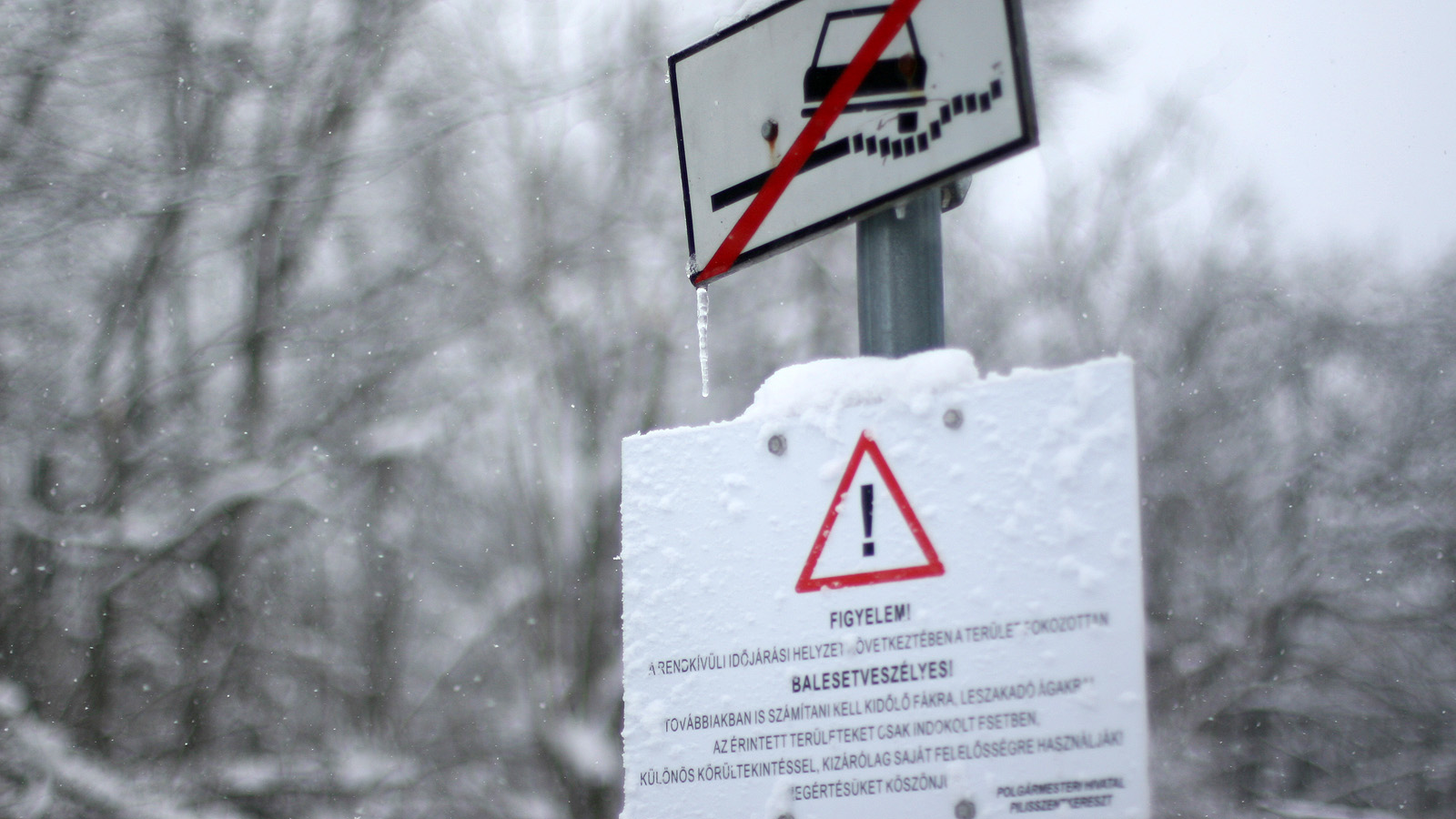 Illustration for article titled Itt a tél, és egyébként mindenki azt ír, amit akar, csak írjon!