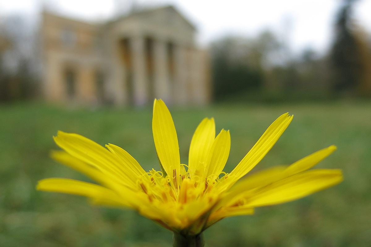 Illustration for article titled A legszebb dolog, amit József nádornak köszönhetünk