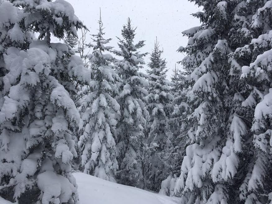 Illustration for article titled Erdődesszert