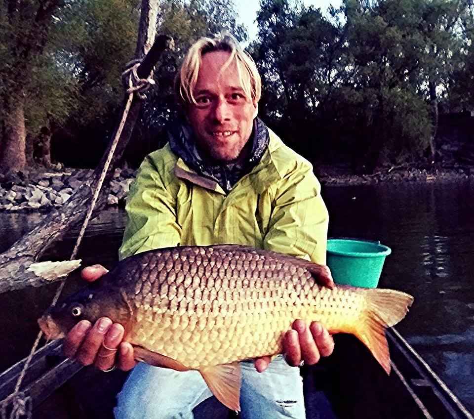 Illustration for article titled Egyre erősebbek a Budapestet csendben elfoglaló hódok