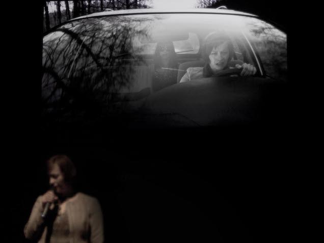 A politikus állat, olyan, mint te meg én