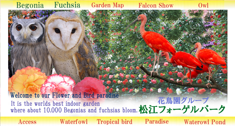 Illustration for article titled Hiába menekülsz, hiába futsz, a pingvined elől futni úgyse tudsz