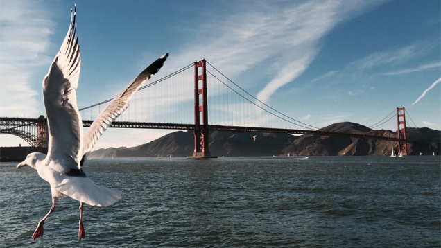 Nem lennék most fényképezőgép-gyártó