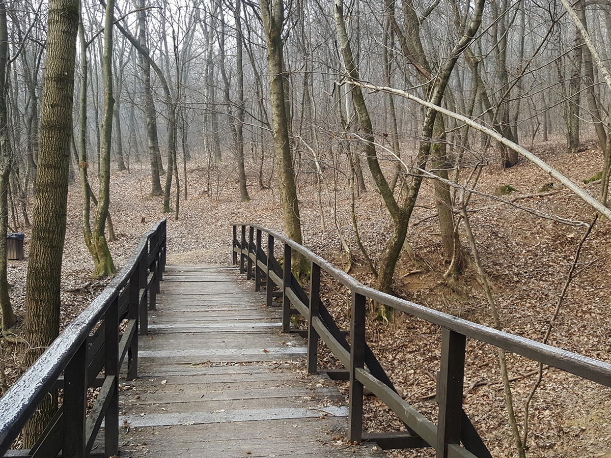 Híd a nem Kwai nem folyón