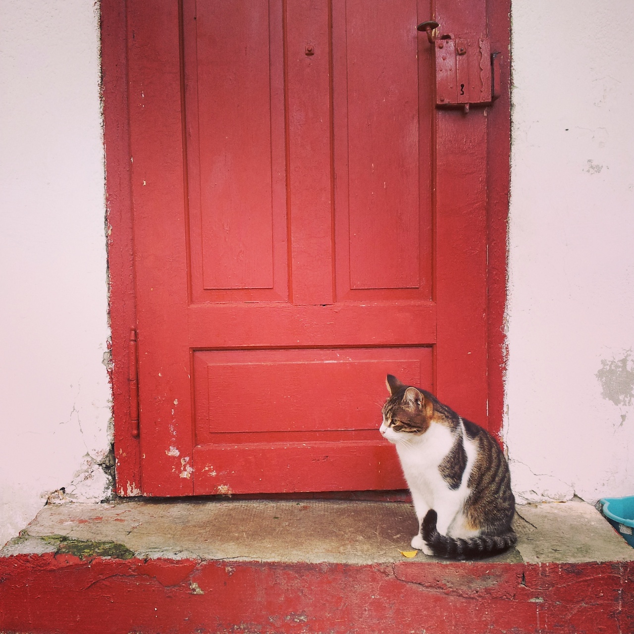 Illustration for article titled Adjátok vissza a Monarchiámat!