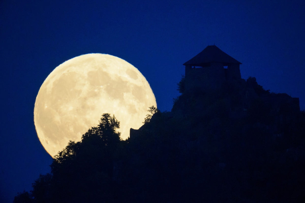 Illustration for article titled Egyre több a művészet az MTI-s fényképekben, örüljünk ennek?