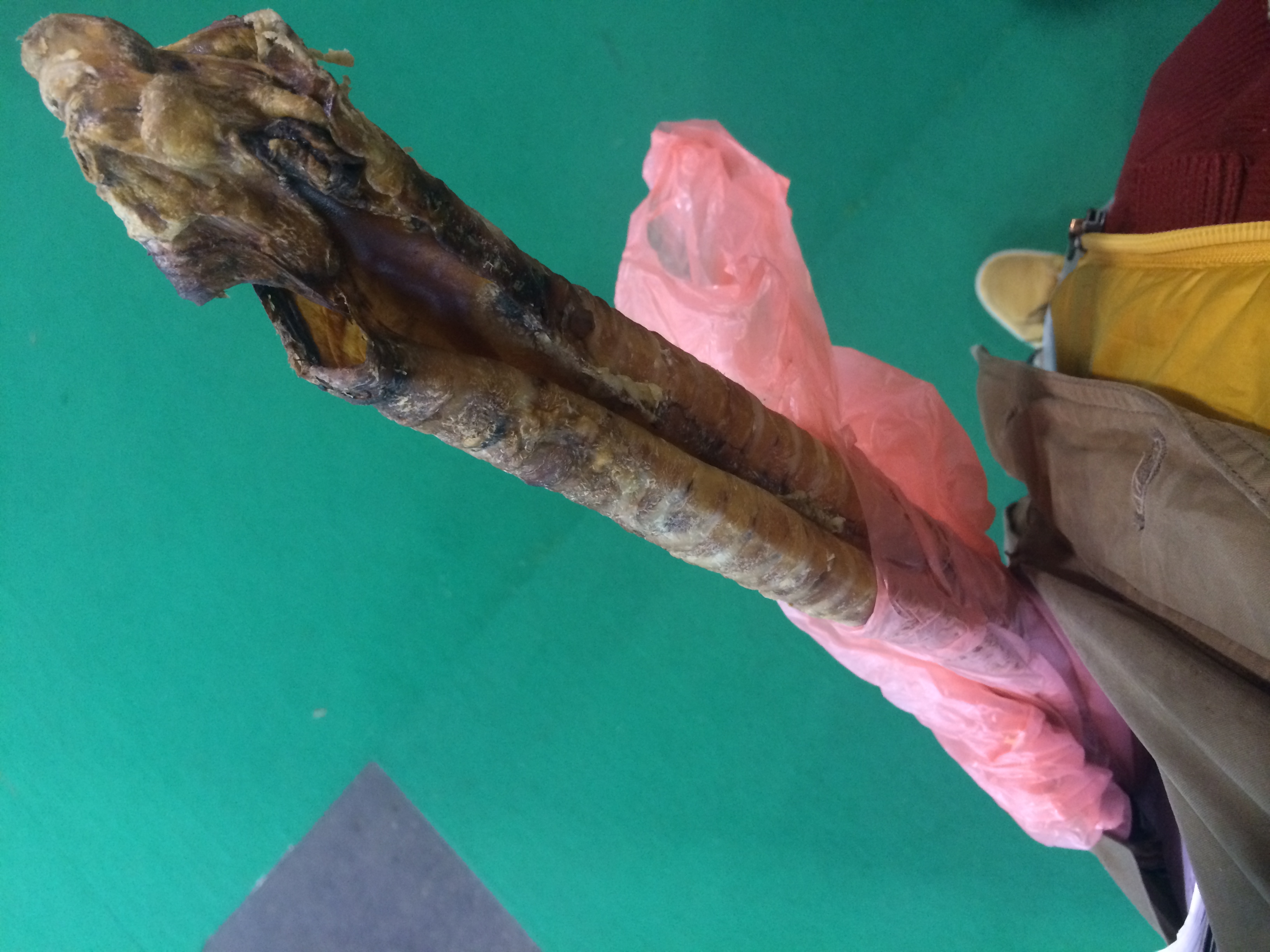 Illustration for article titled Így buliznak döglött állatokkal az ország legidiótábban öltözött emberei