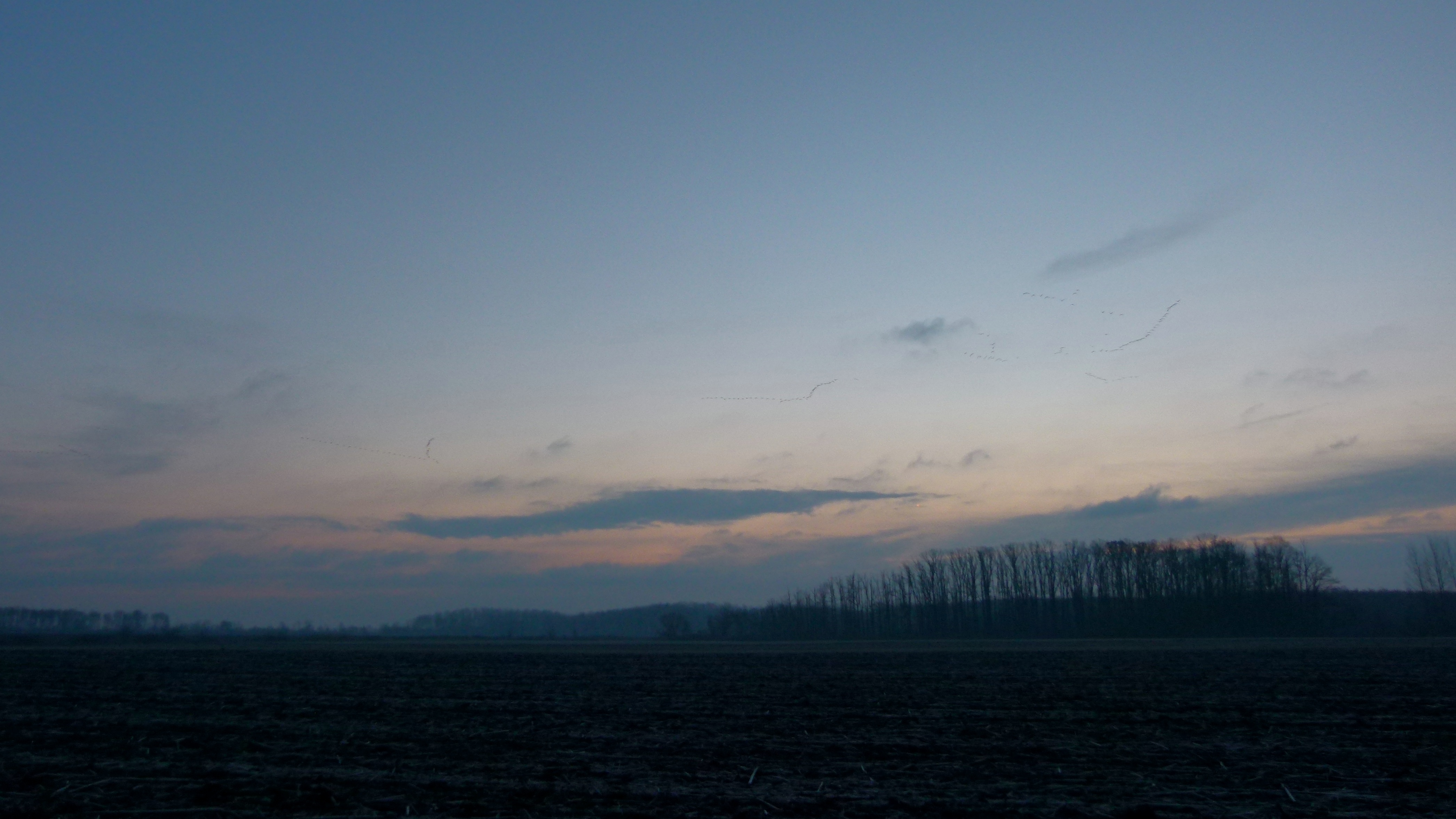 Illustration for article titled Igazoltatott a rendőr - megírom.