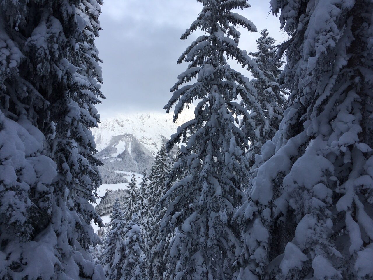 Illustration for article titled Erdődesszert