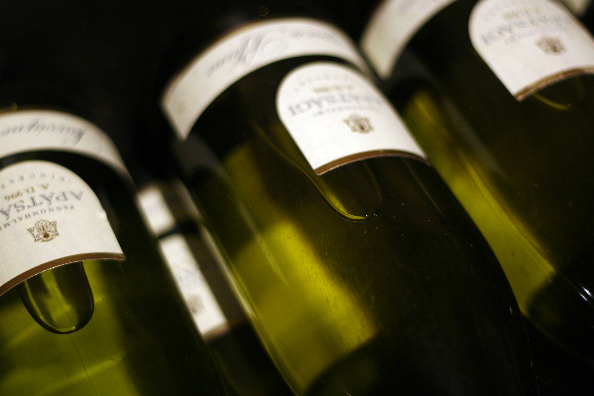 Illustration for article titled Papbor