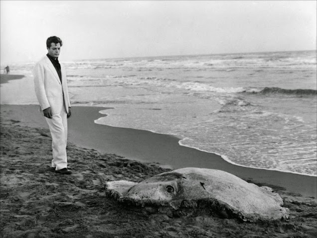 Illustration for article titled Ez itt a 21 legjobb film, amit valaha láttam