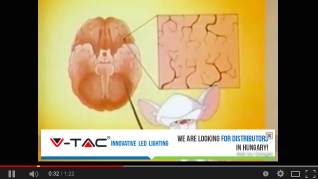 Hé, Tiborcz István! Van egy tuti pénzes tipp a Youtube-on