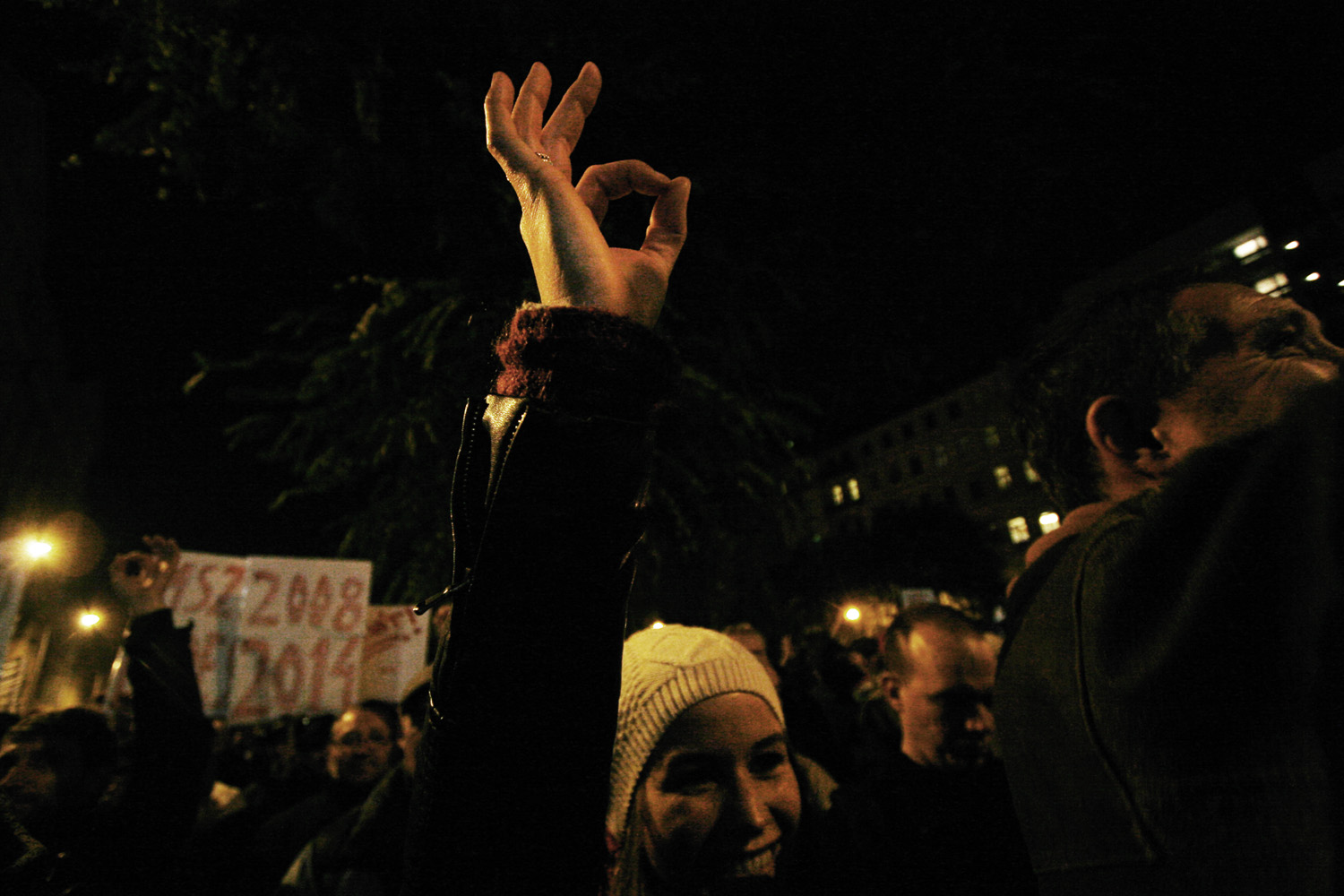 Illustration for article titled Hatalmassá dagadt a második netadóellenes tüntetés