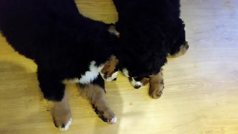 Illustration for article titled Amiért olyan nehéz posztot írnom mostanában..