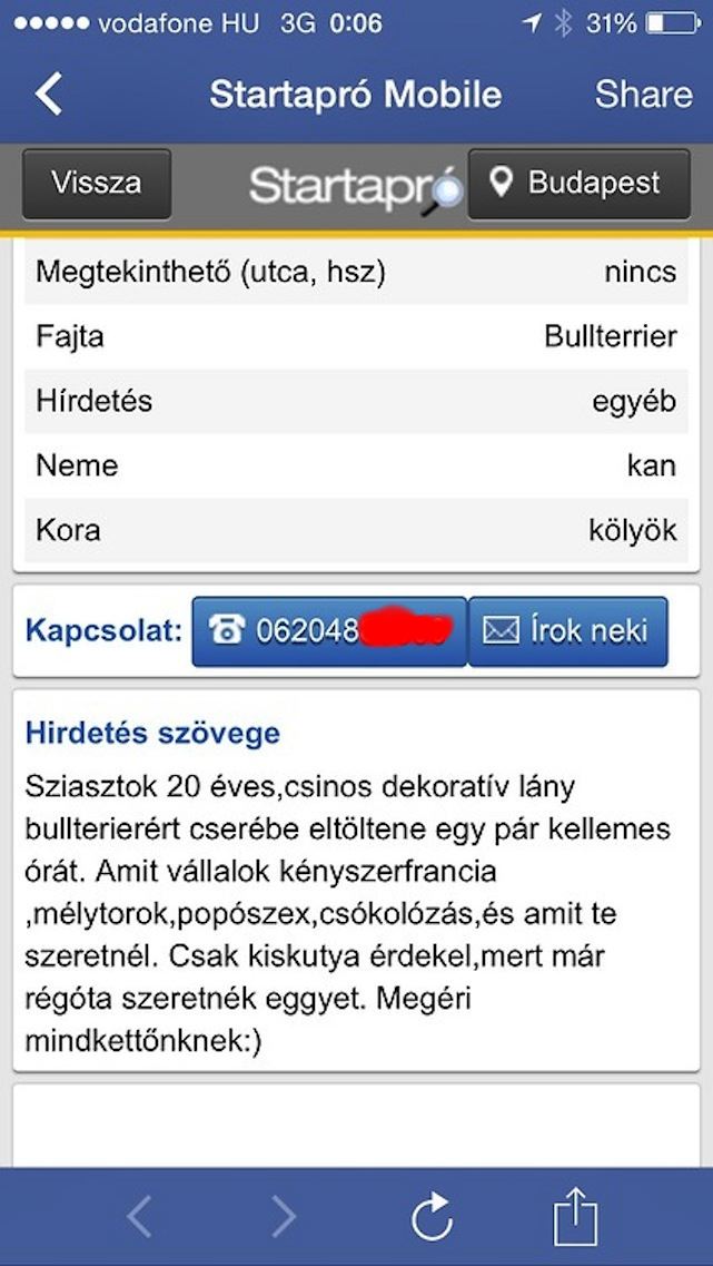 Illustration for article titled Te mit tennél meg egy aranyos kutyusért?