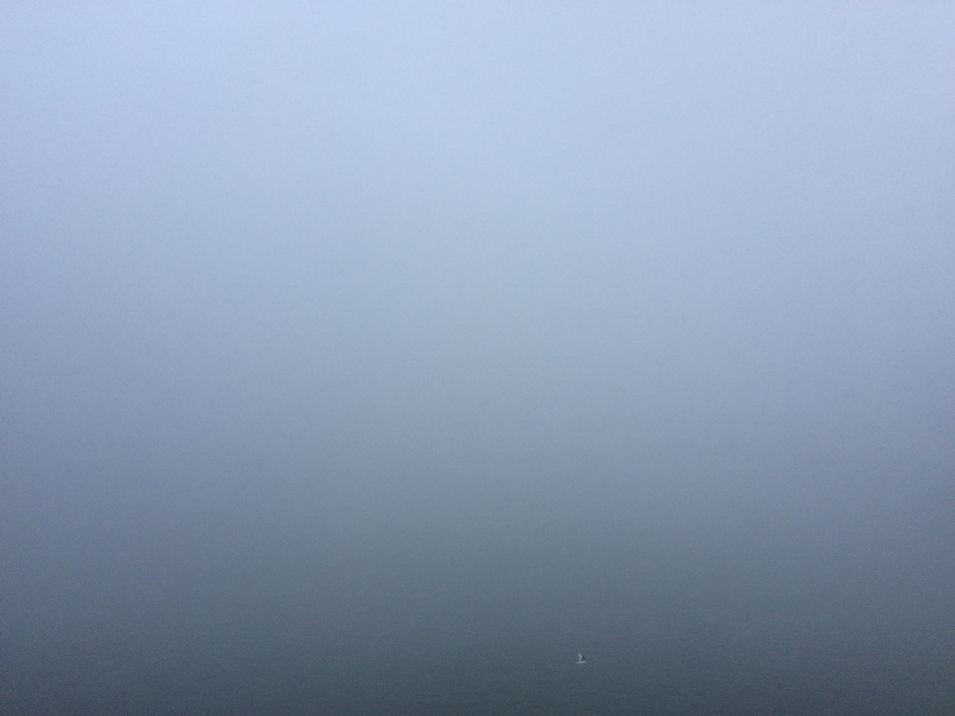 Illustration for article titled Ködbe veszett Budapest