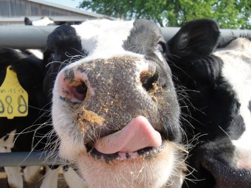 Illustration for article titled Politikonc#15