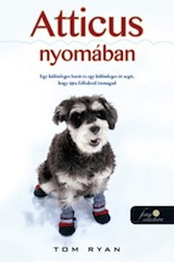 Illustration for article titled Másztatok már hegyet kutyussal? És egy tél alatt 48 hegycsúcsot?