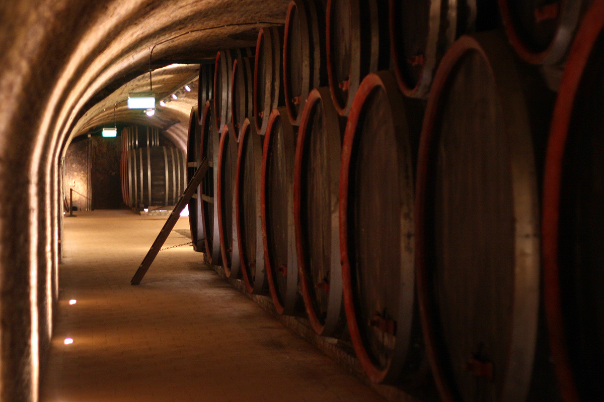 Illustration for article titled Papbor