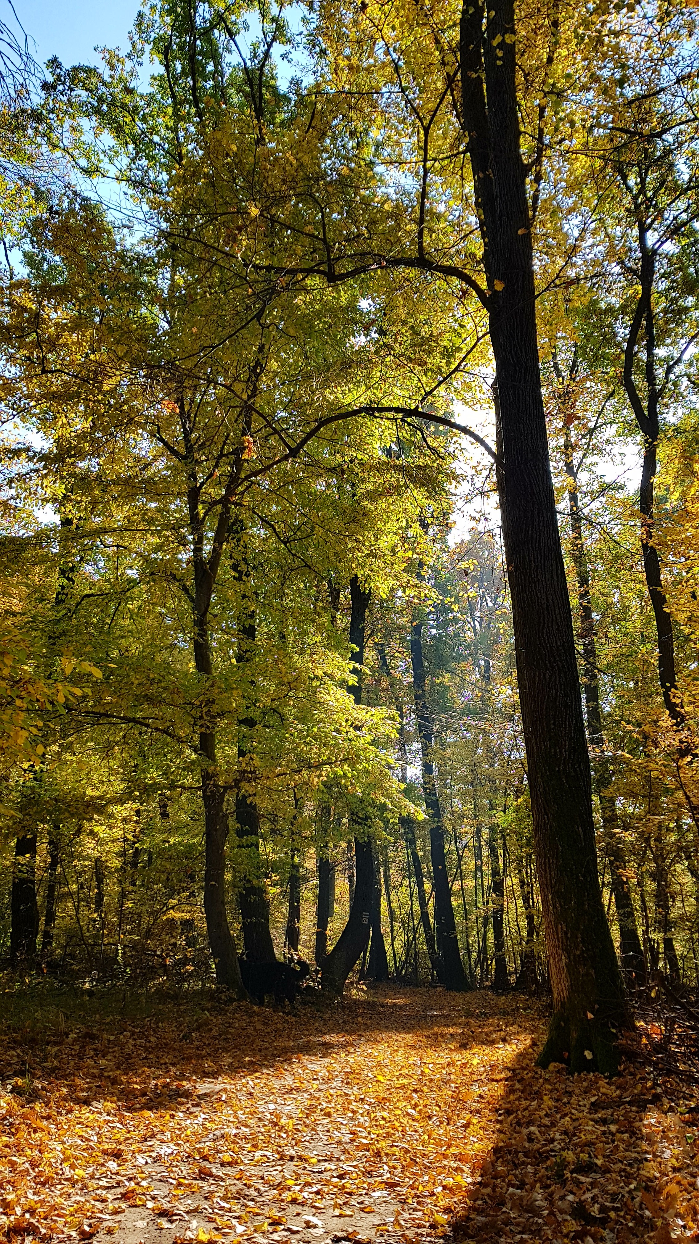 Illustration for article titled Időjárásjelentés