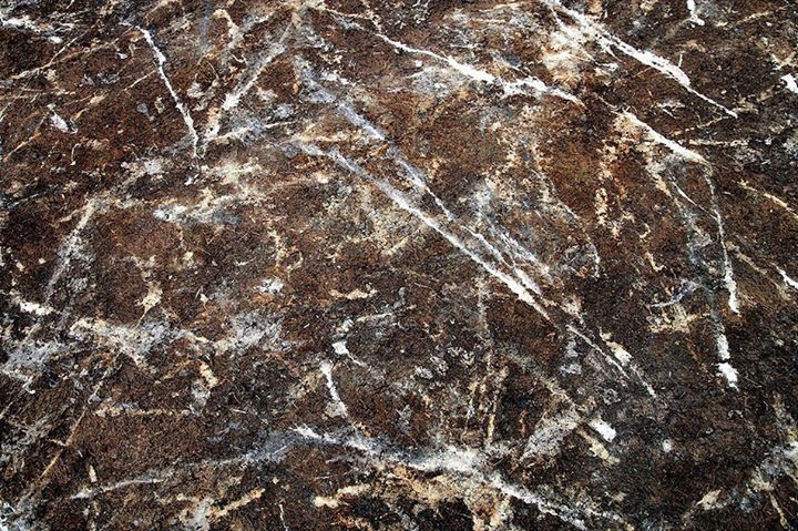 Illustration for article titled Kis híján bokán lőtt egy afrikai pingvin!