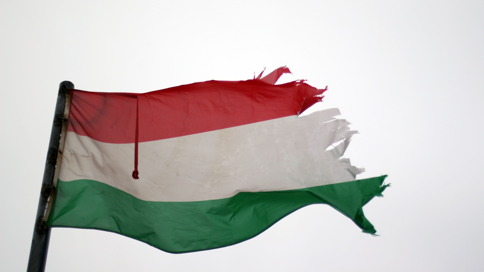 Illustration for article titled Itt a tél, és egyébként mindenki azt ír, amit akar, csak írjon!