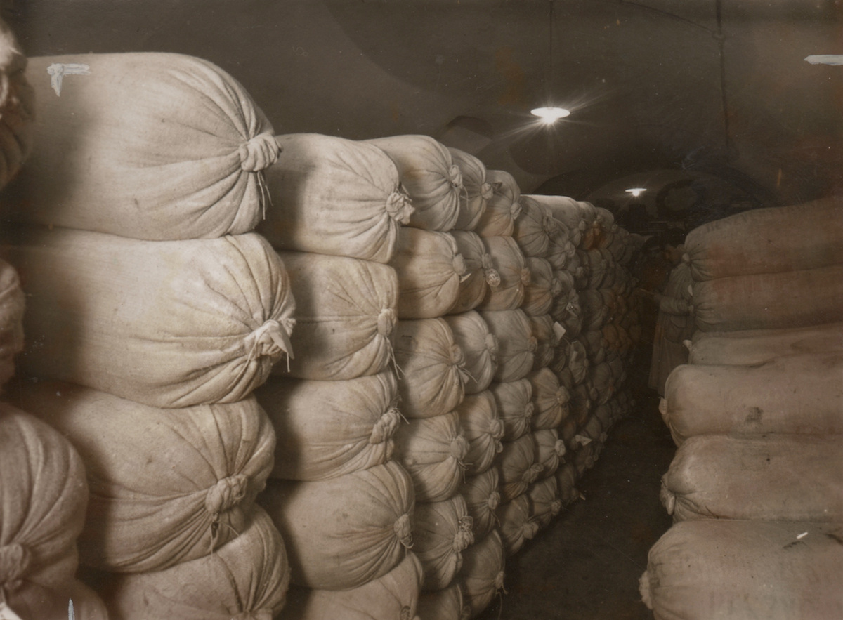 Illustration for article titled Teofil és a csokigyár