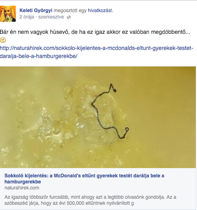 Szerintetek igaz lehet, hogy eltűnt gyerekek vannak a hamburgerben?