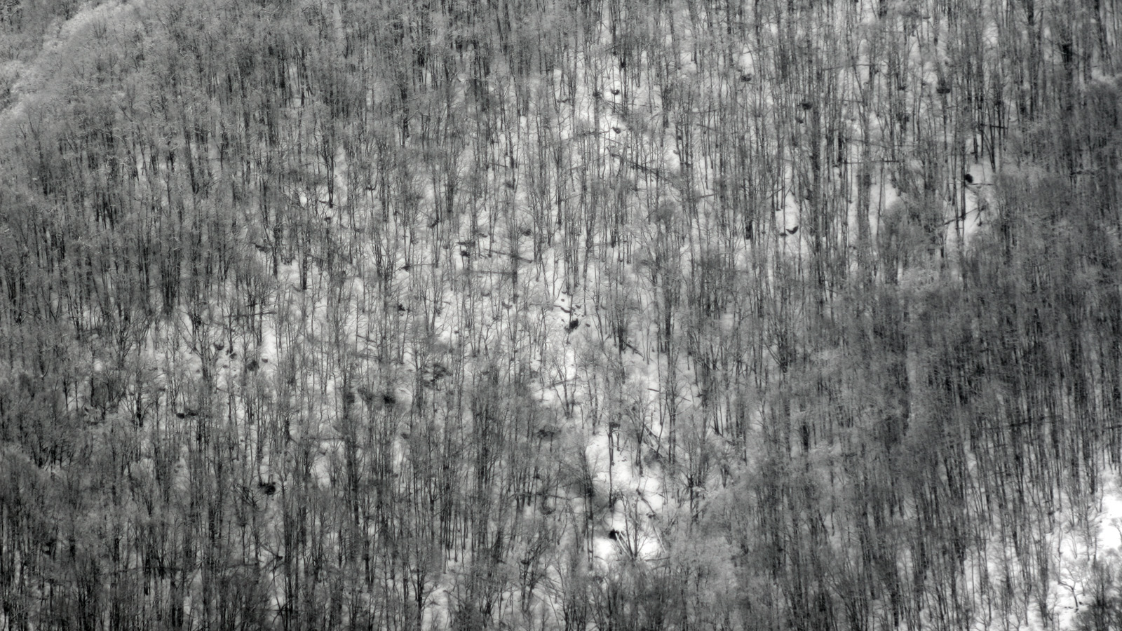 Illustration for article titled Itt a tél, és egyébként mindenki azt ír, amit akar, csak írjon!