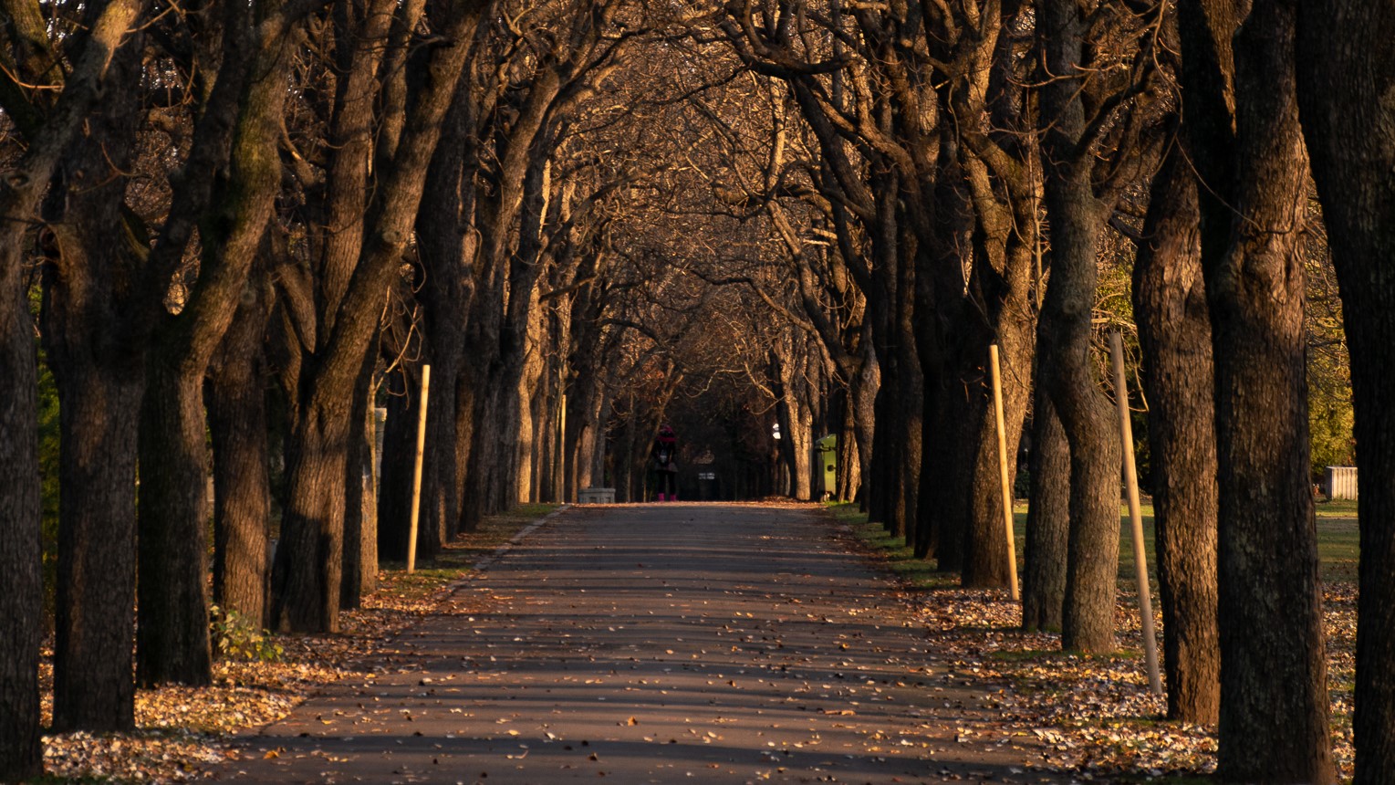 Mikor lesz vége a világnak