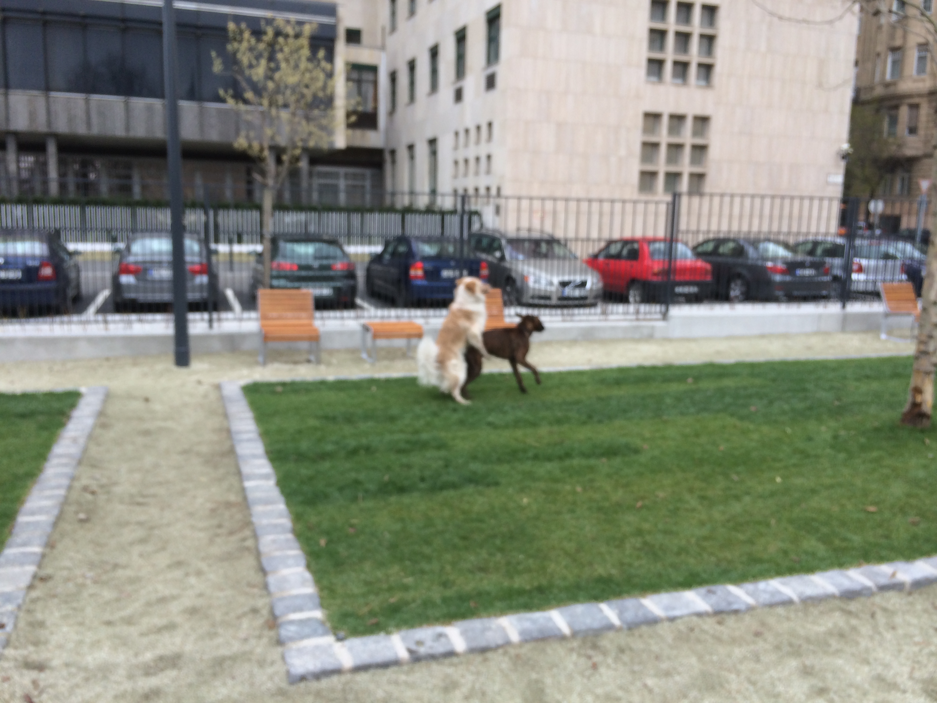 Illustration for article titled A Fidesz kutyája akarok lenni!