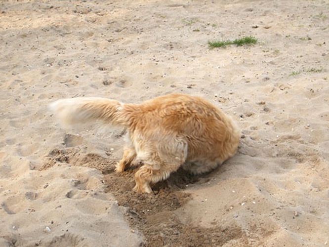 Izgalmas részletek a