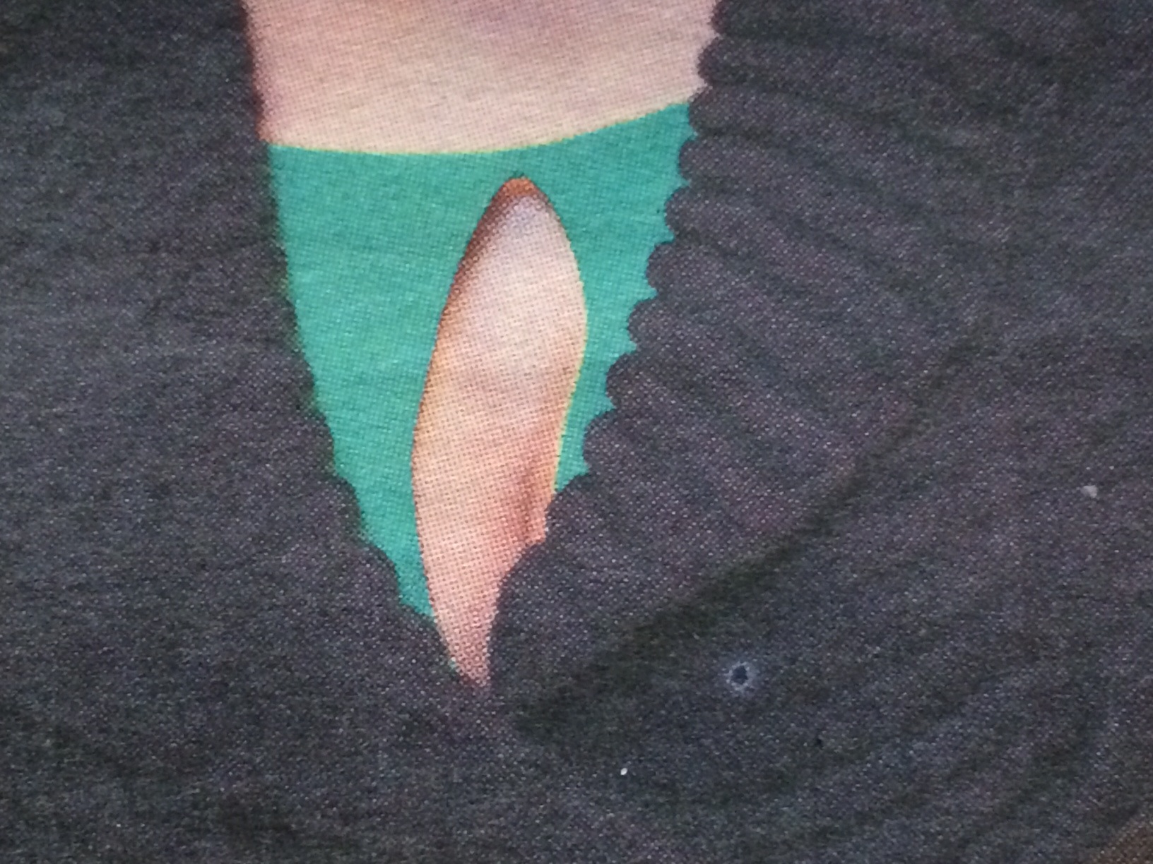 Jelentősen csökkent Rogánné Cecília asszony dekoltázsának mérete