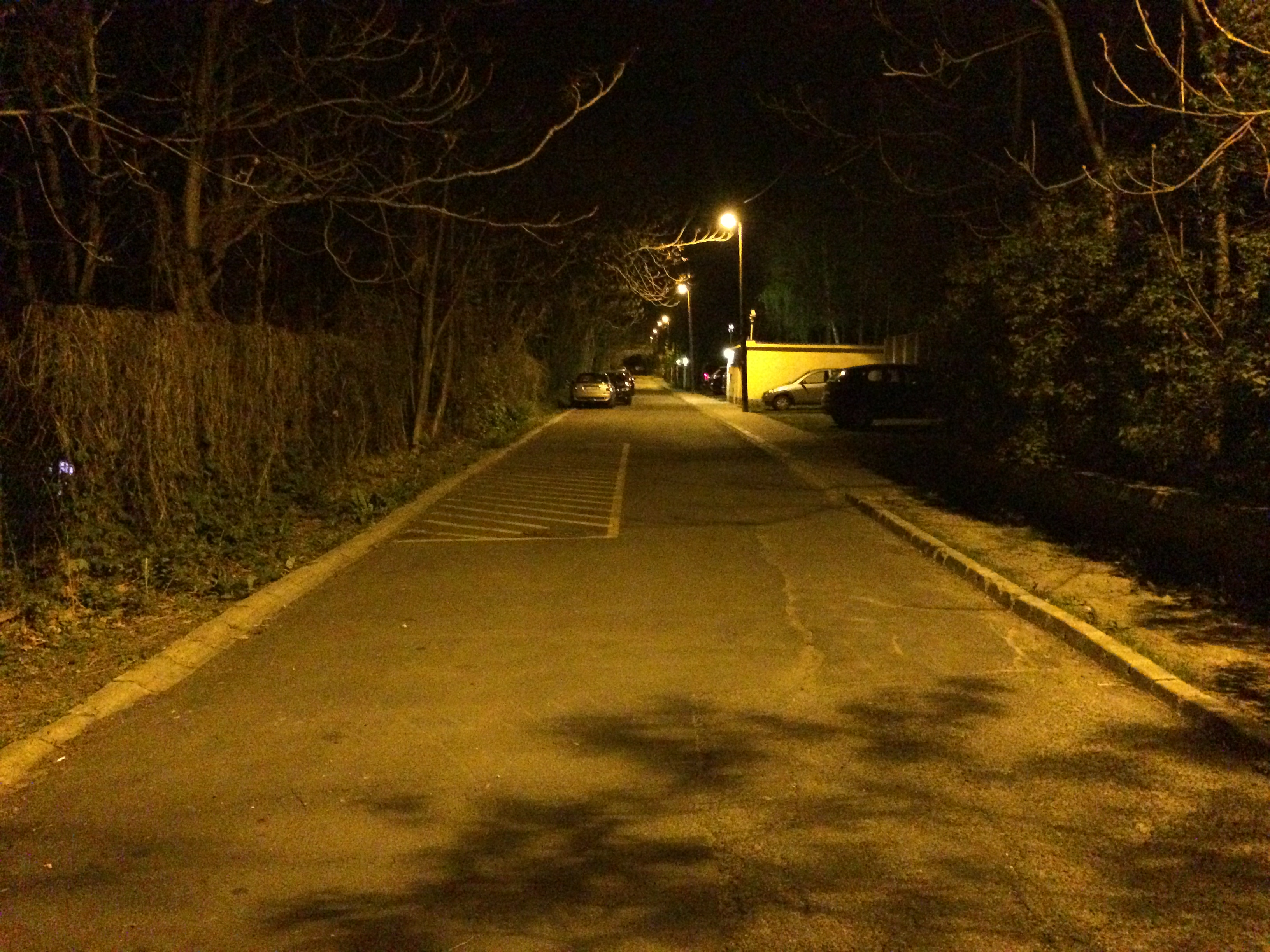 Illustration for article titled Mindeközben a Pasa Parkban