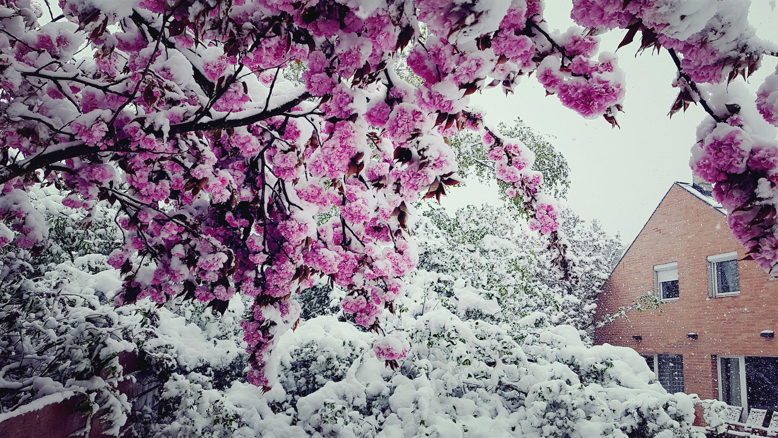 Illustration for article titled Időjárásjelentés