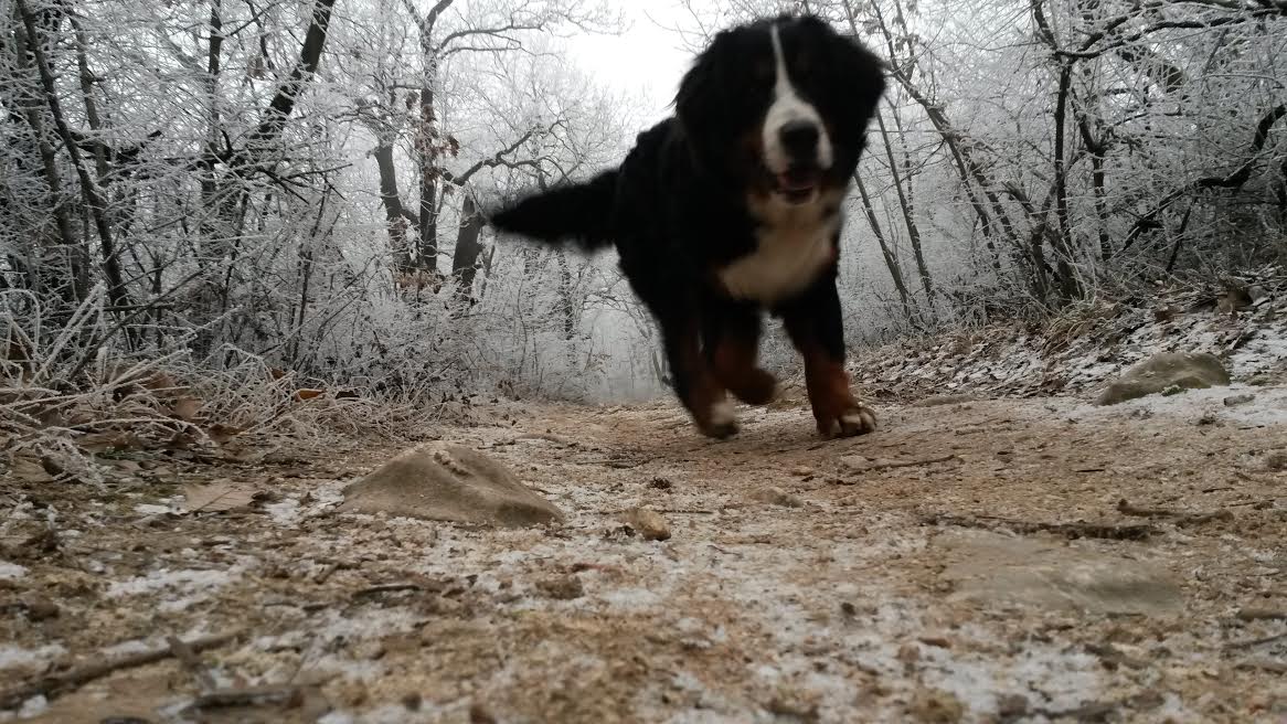 Illustration for article titled Időjárásjelentés