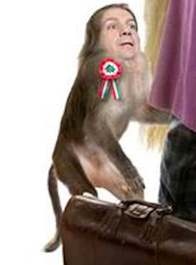 Illustration for article titled Méltatlanul kevés szó esik a jobbos photosopposokról