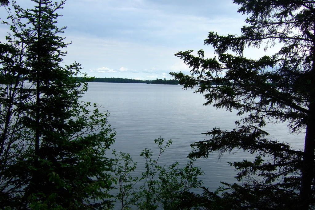 Az ulpiusos Kepets megpattant és alighanem Kanadában kezdett új életet