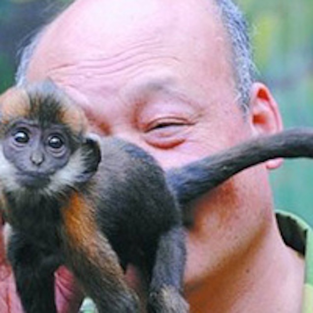 Csodálatos cikket írt Dezső András a magyar seggnyalásról