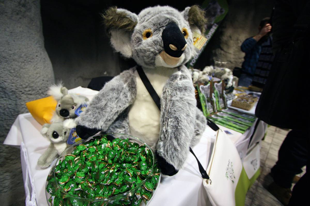 Illustration for article titled Hogy nyomult rá L. Simon László a koalára