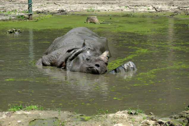 Nagyon. Nagyon. Nagyon. Nagyon durva lesz ma a kánikula!